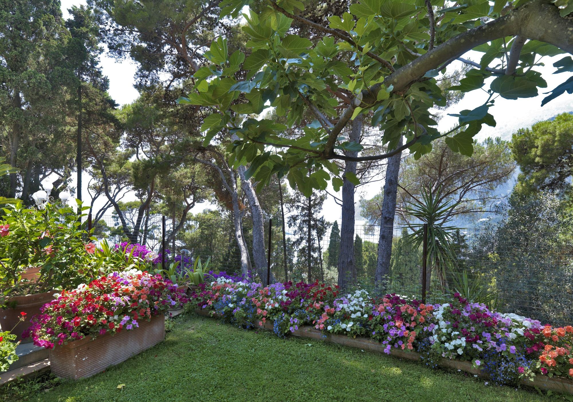 Hotel Villa Brunella Capri Exteriör bild