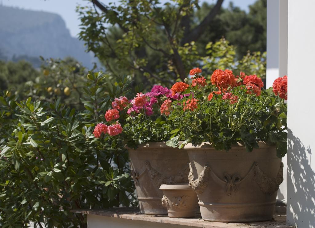 Hotel Villa Brunella Capri Exteriör bild